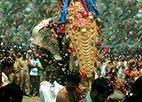 Attukal Devi Procession