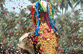 The procession of Goddess Attukal Devi